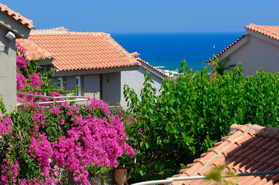 Paradise Island Villas