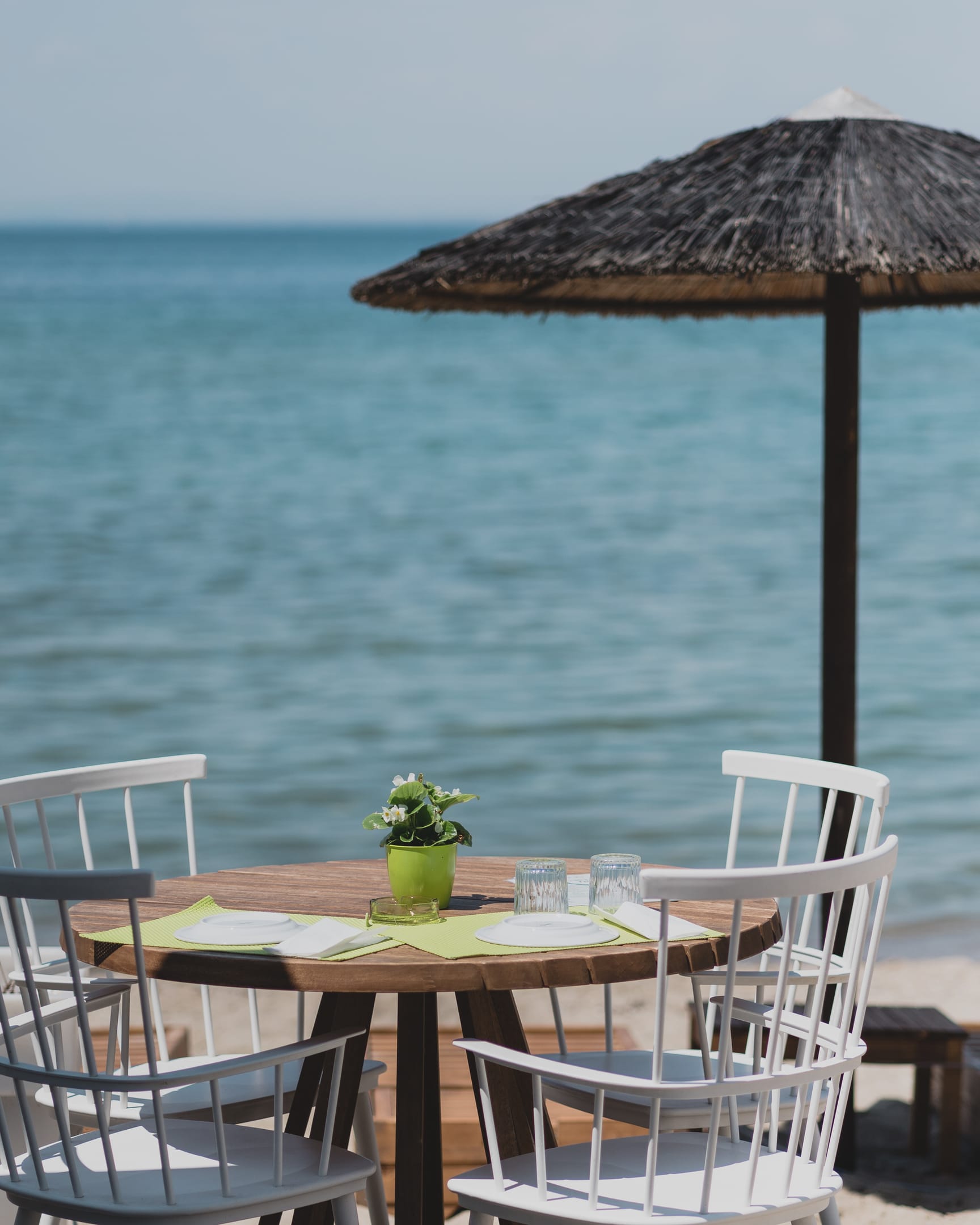 Golden Star City Resort