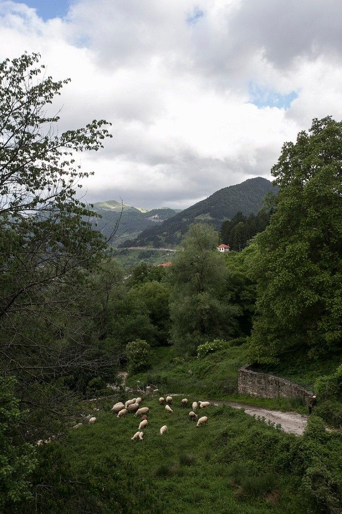 Katogi Averoff Hotel & Winery