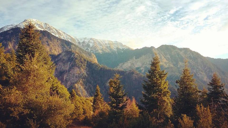 Selestina Boutique Hotel